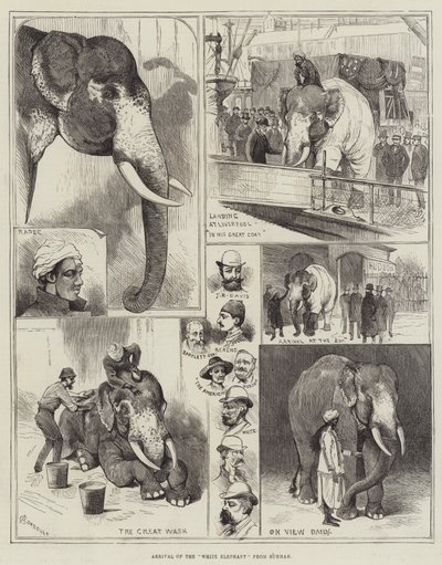 Llegada del Elefante Blanco de Birmania de Alfred Courbould